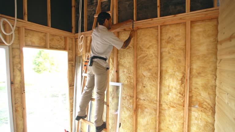 Best Weatherproofing Services  in Westmont, IL